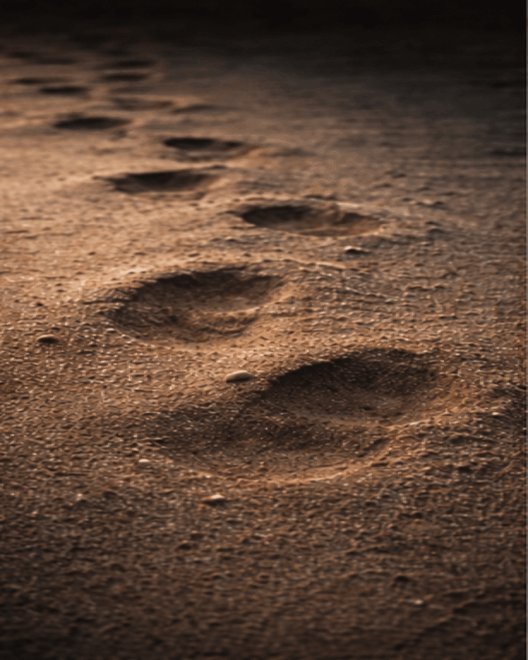 Footprints in textured sand fading into shadow, showing an uneven path forward